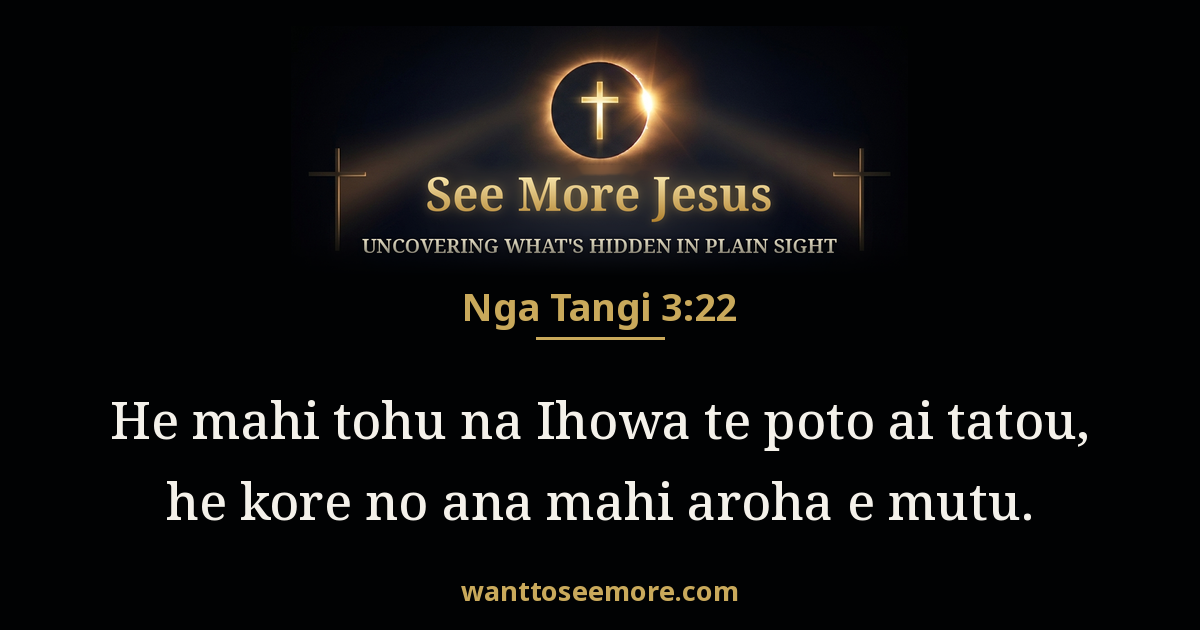 Lamentations 3:22