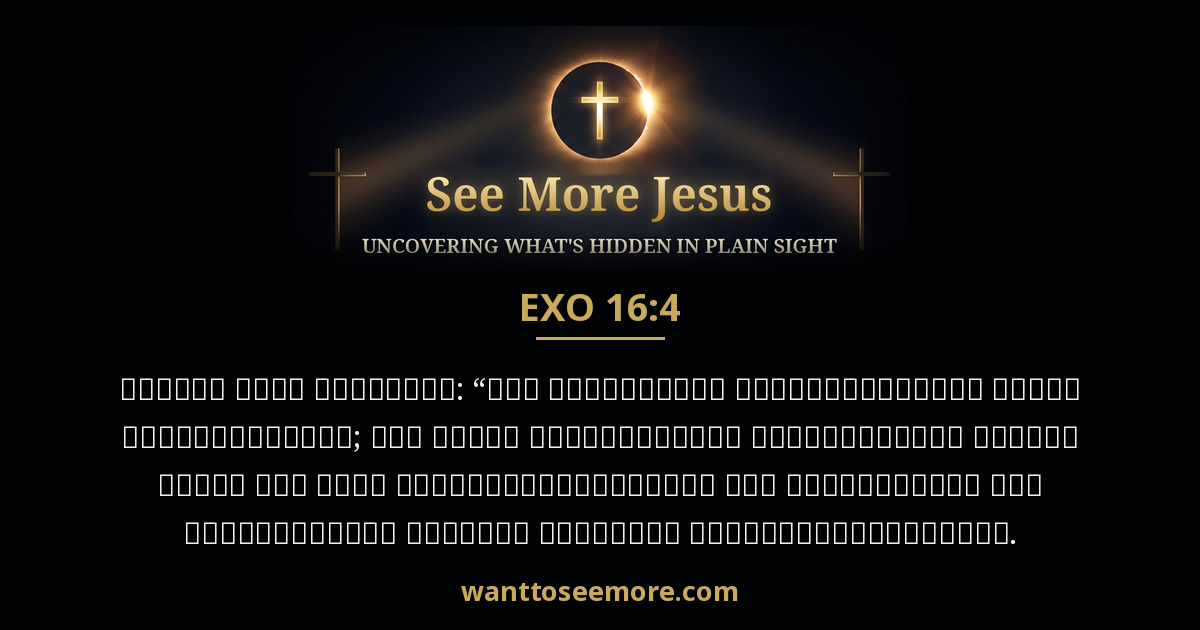 Exodus 16:4