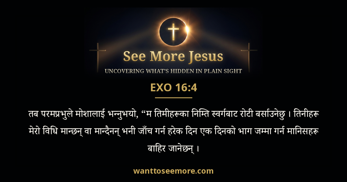 Exodus 16:4