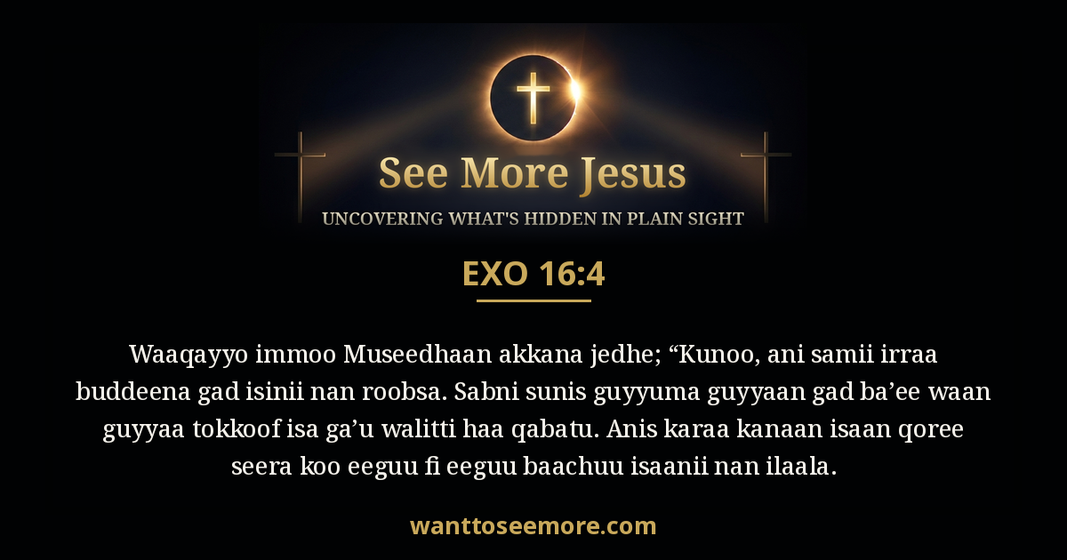 Exodus 16:4