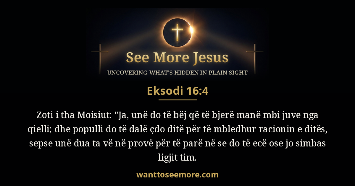 Exodus 16:4