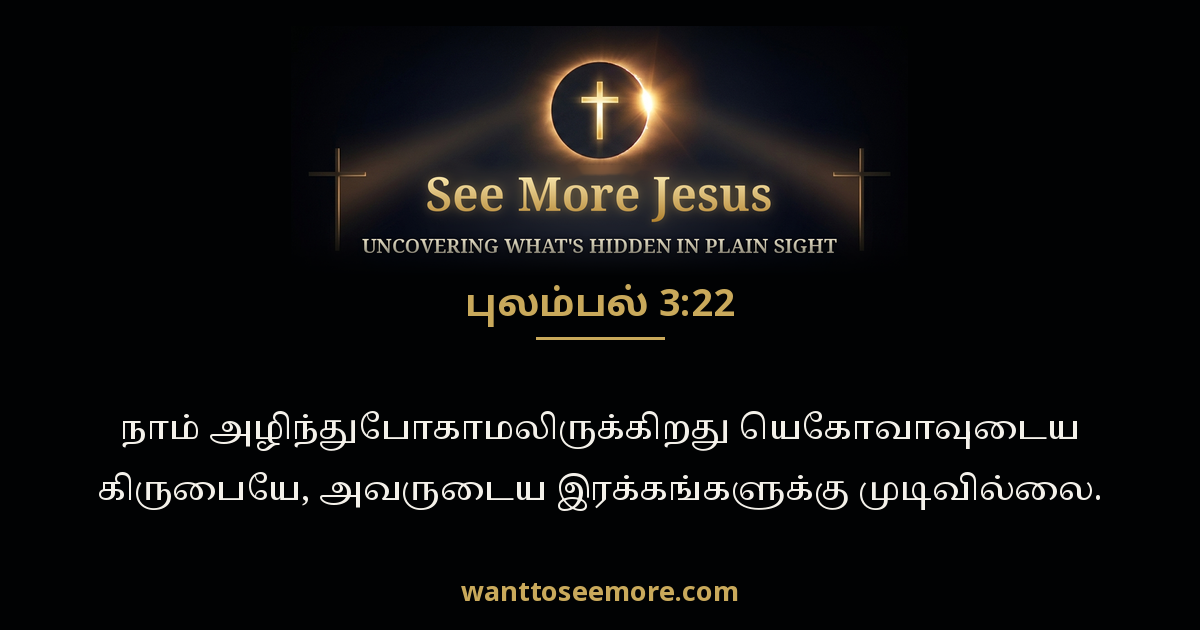 Lamentations 3:22