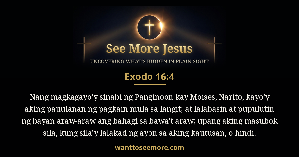 Exodus 16:4