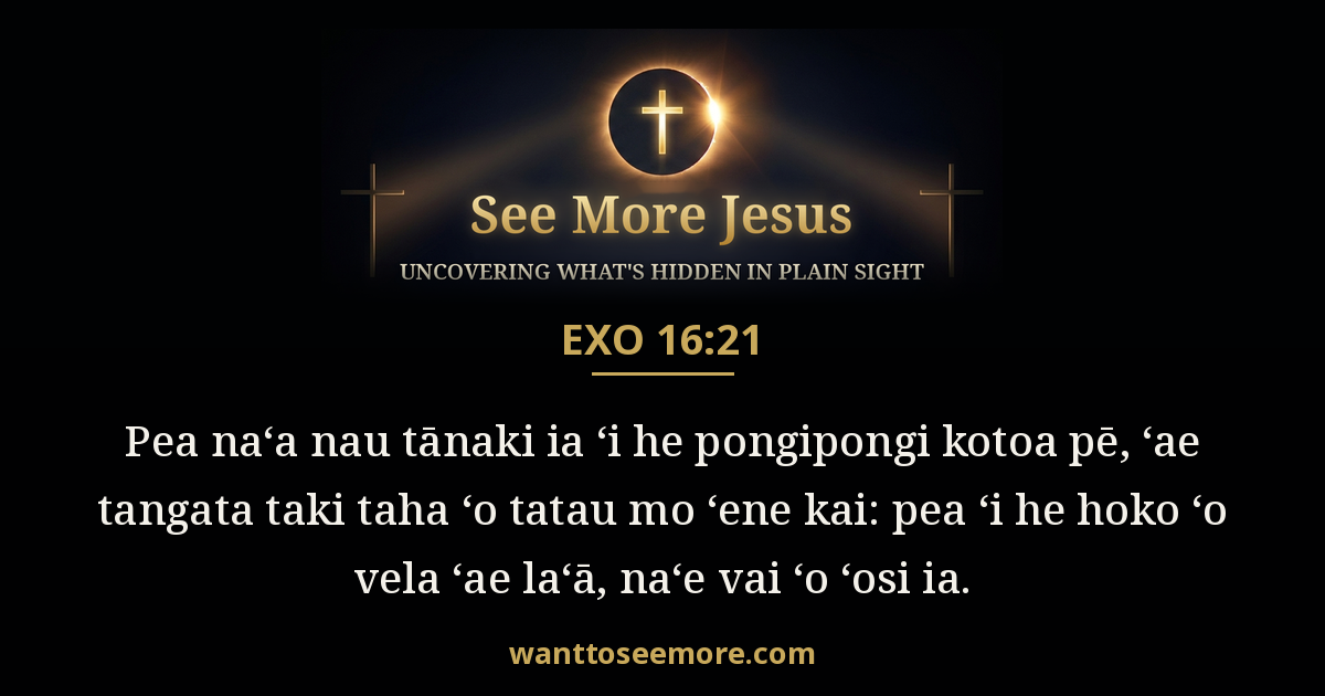 Exodus 16:21