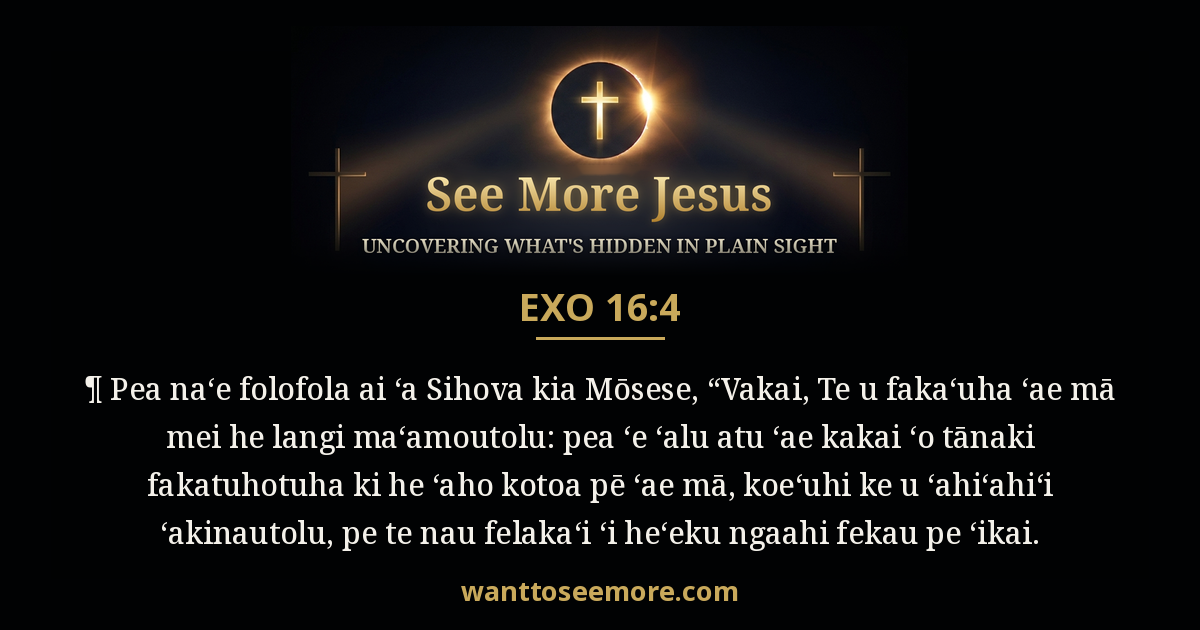 Exodus 16:4