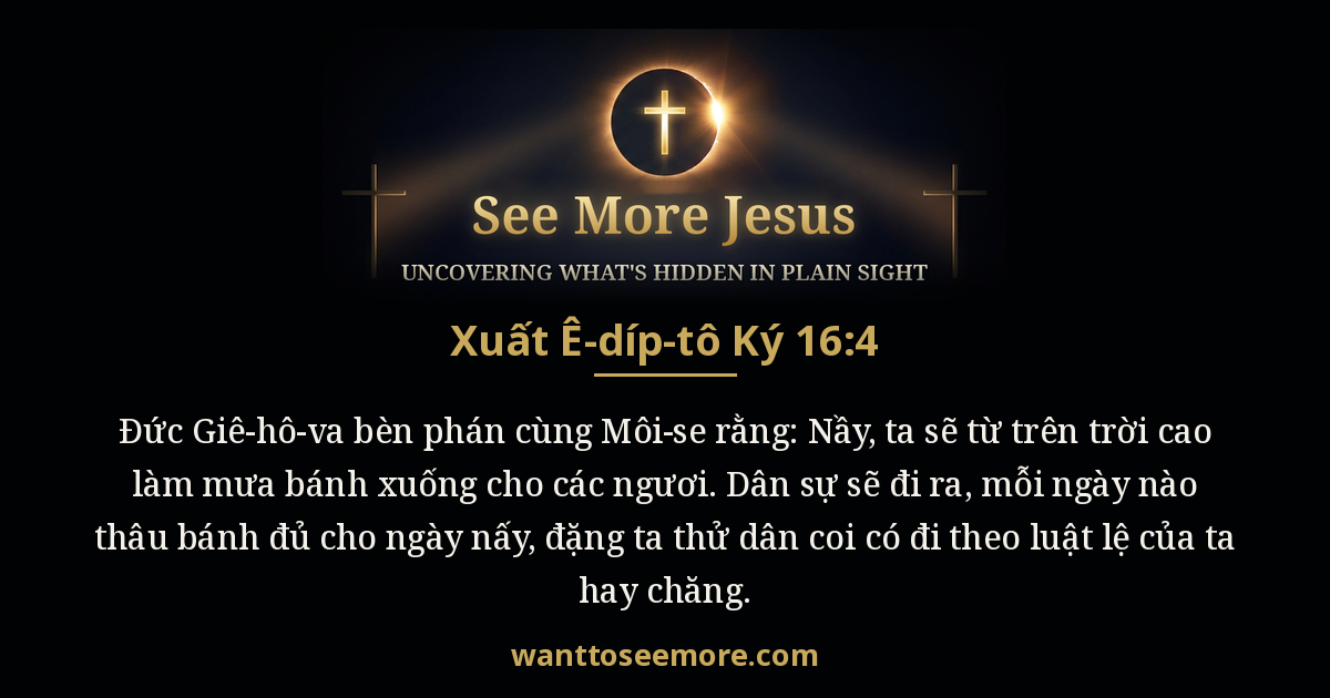 Exodus 16:4