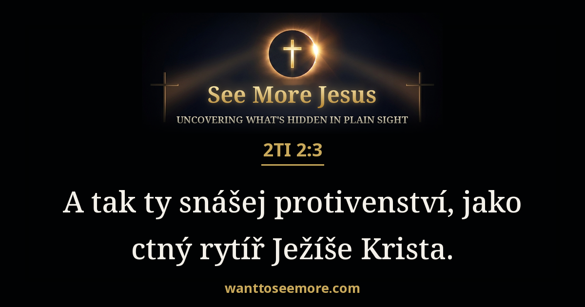 2 Timothy 2:3