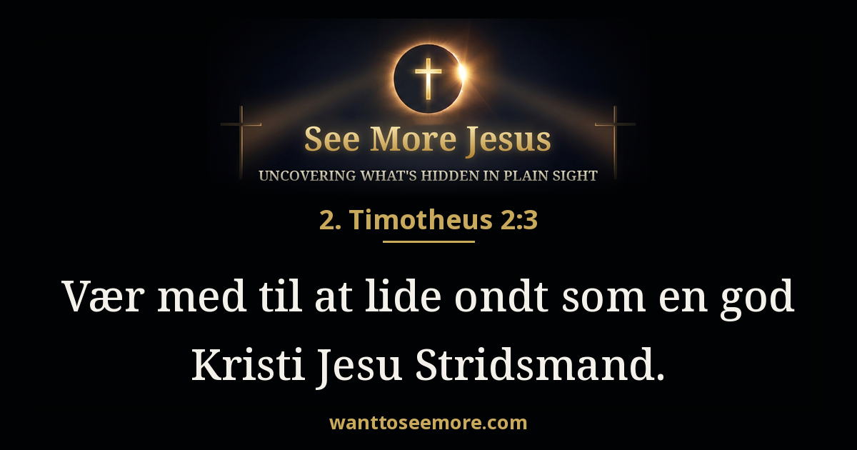 2 Timothy 2:3
