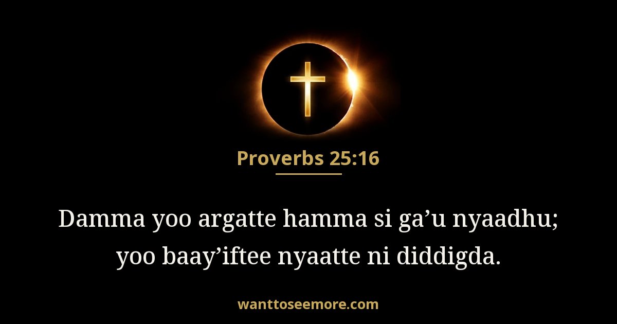 Proverbs 25:16