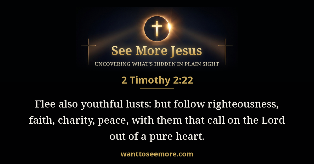 2 Timothy 2:22