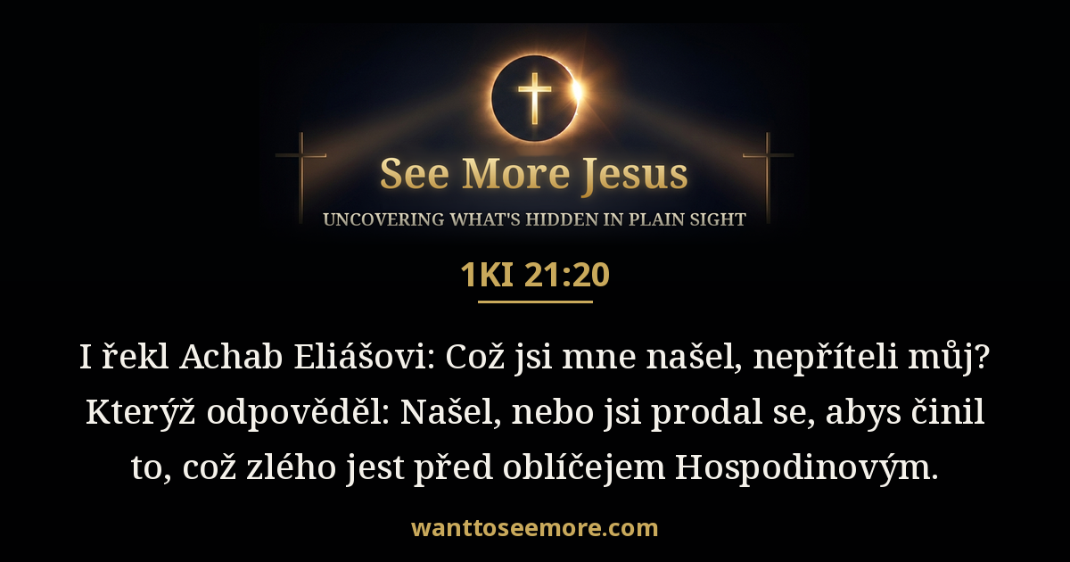 1 Kings 21:20