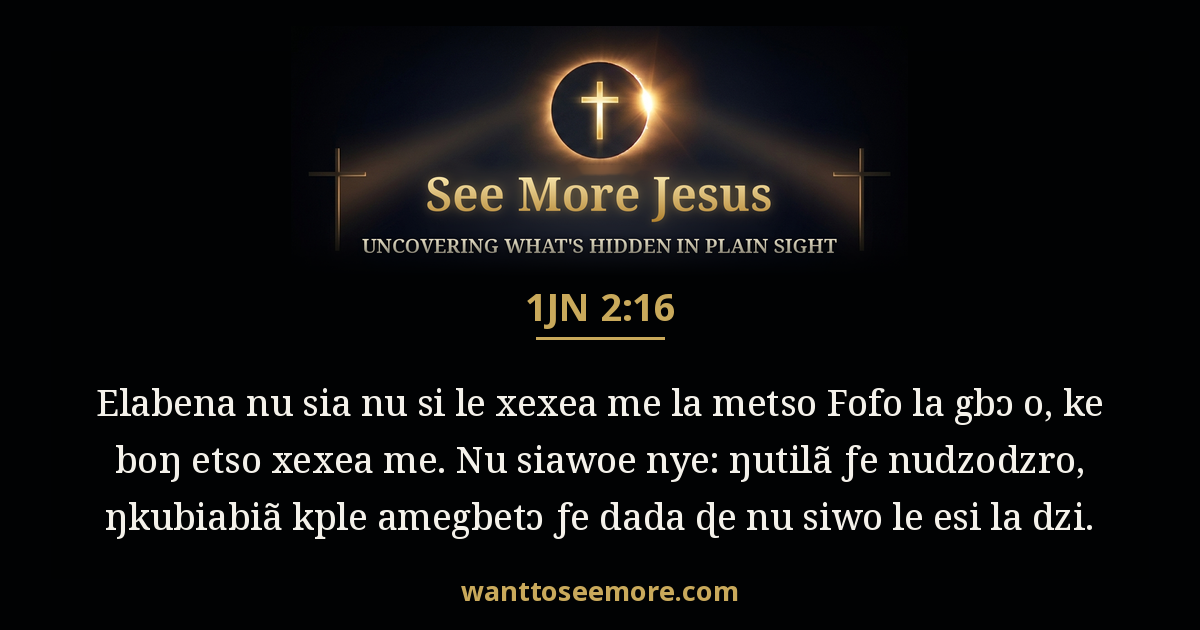 1 John 2:16