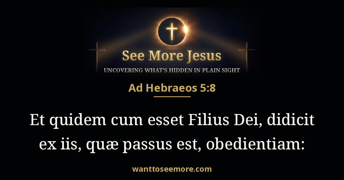 Hebrews 5:8