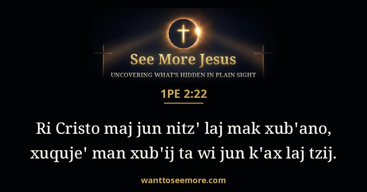 1 Peter 2:22