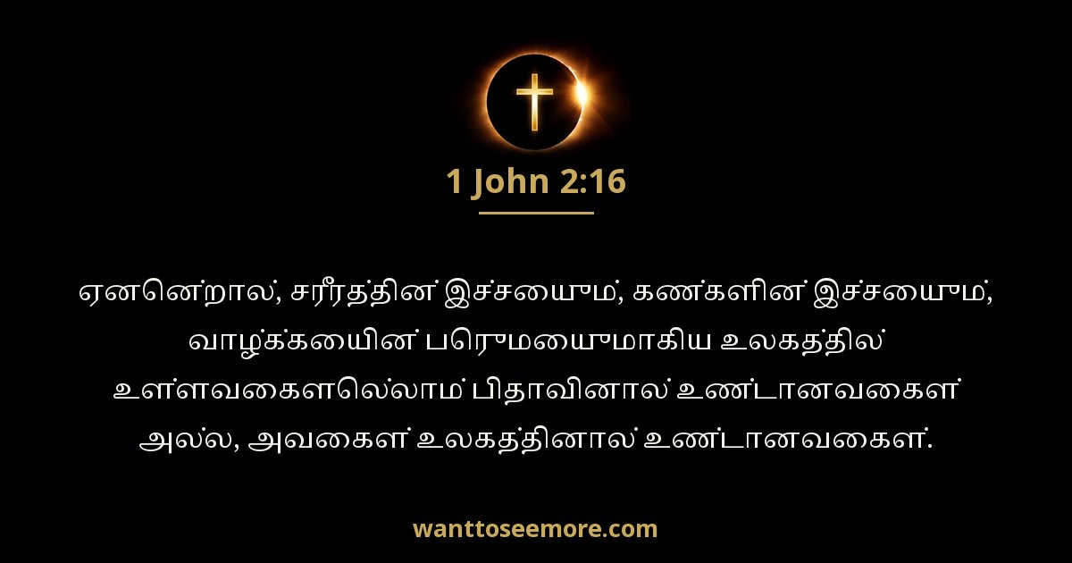 1 John 2:16