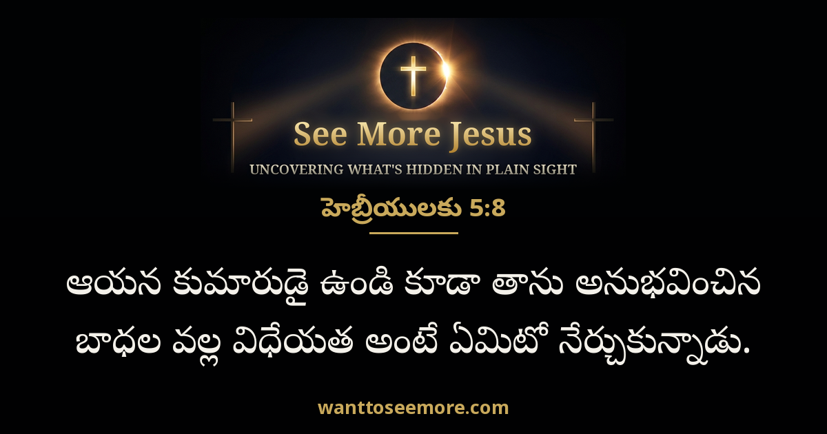 Hebrews 5:8