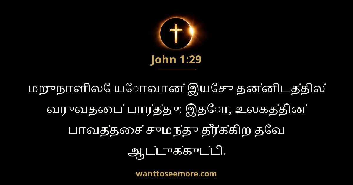 John 1:29