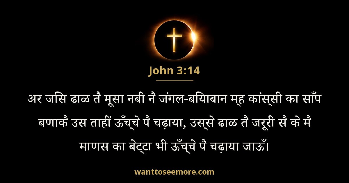 John 3:14