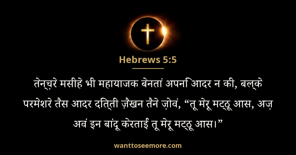 Hebrews 5:5