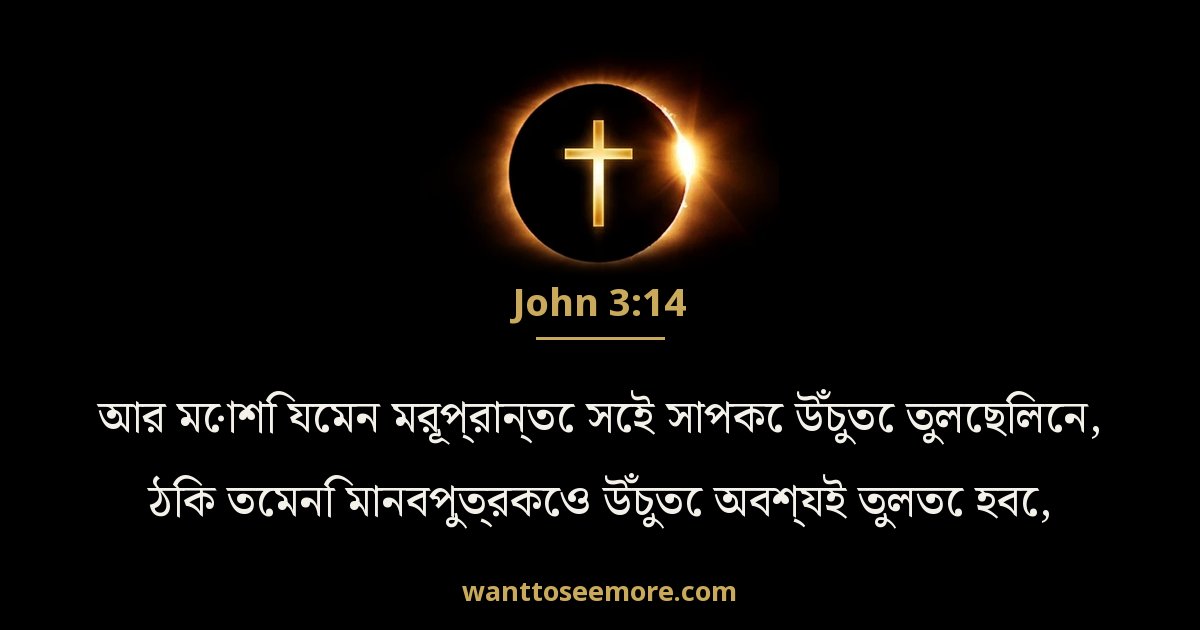 John 3:14