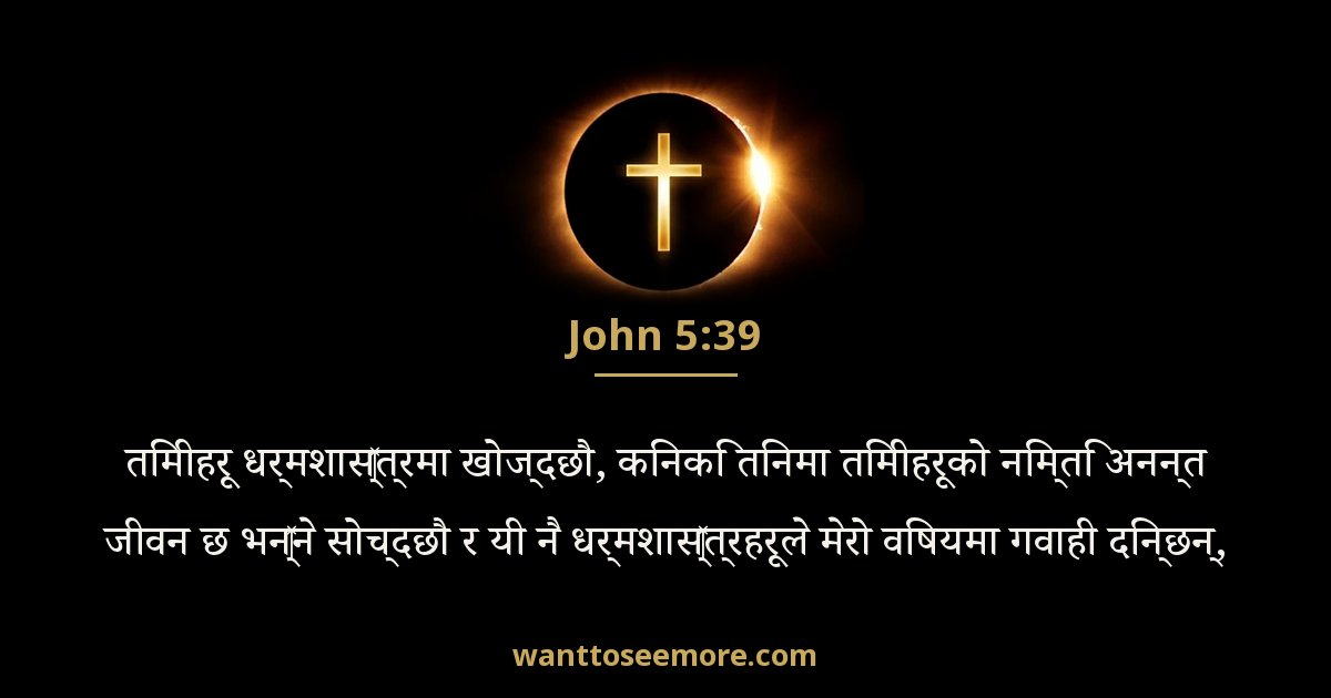 John 5:39