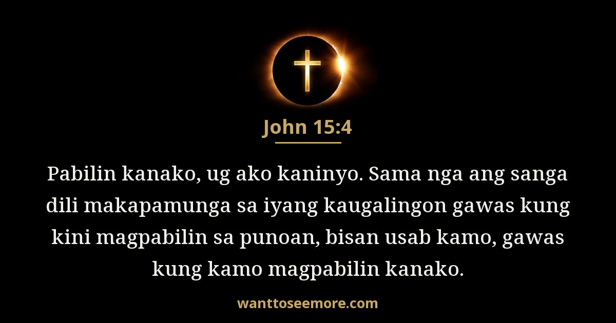 John 15:4