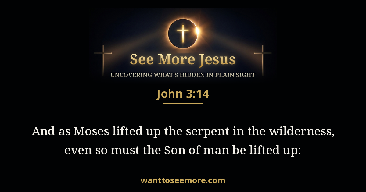 John 3:14