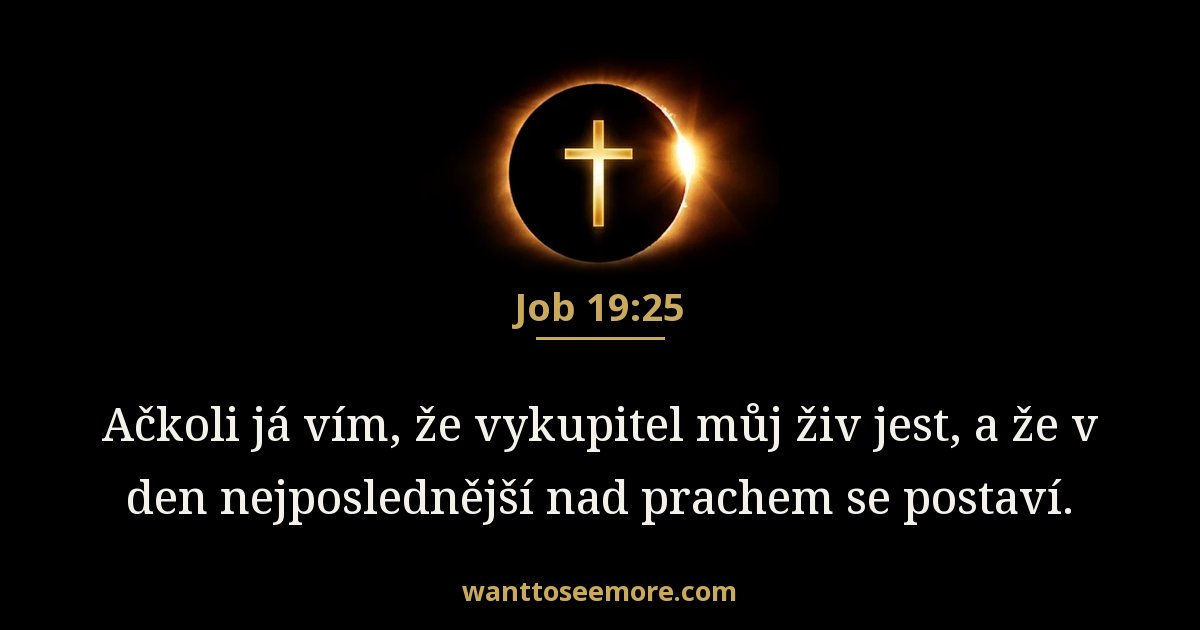 Job 19:25