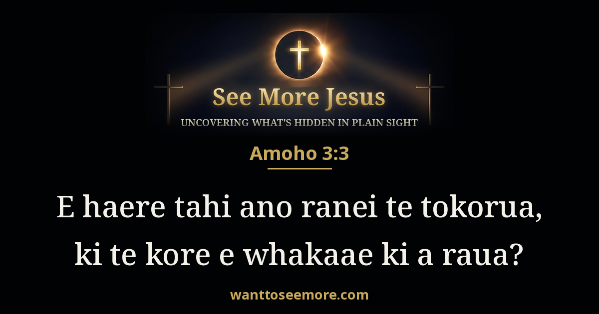 Amoho 3:3