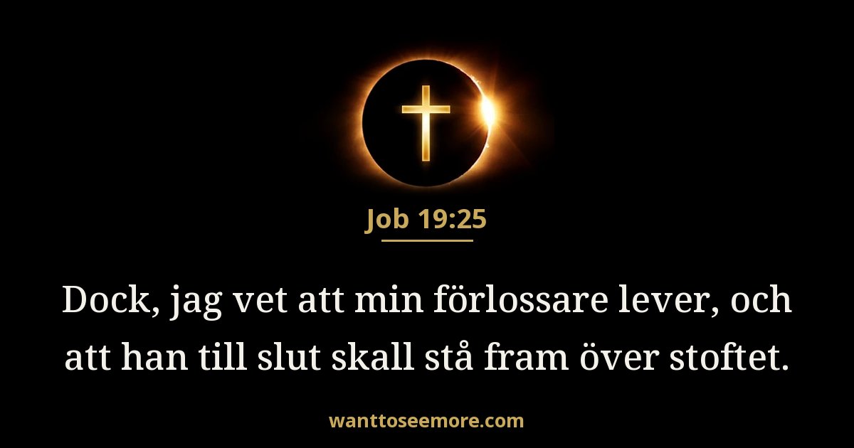 Job 19:25