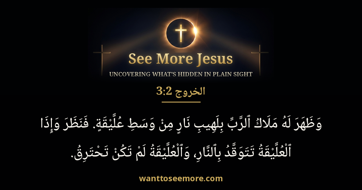 Exodus 3:2