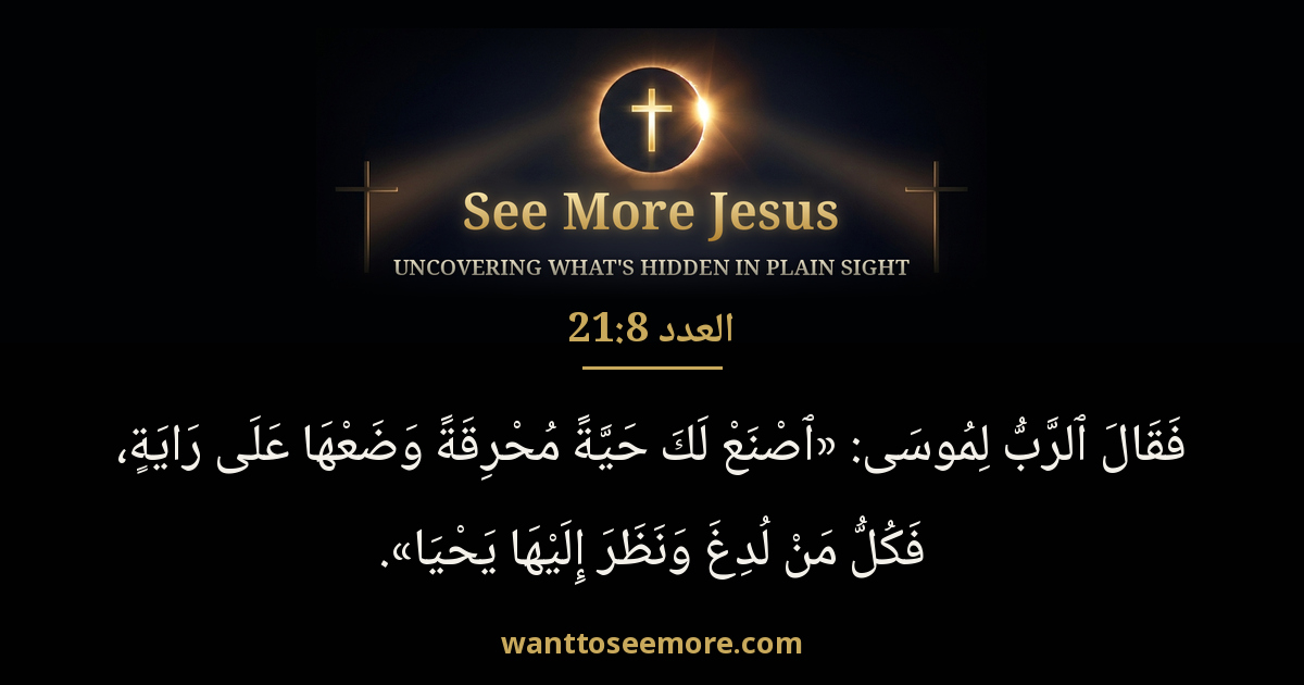 Numbers 21:8