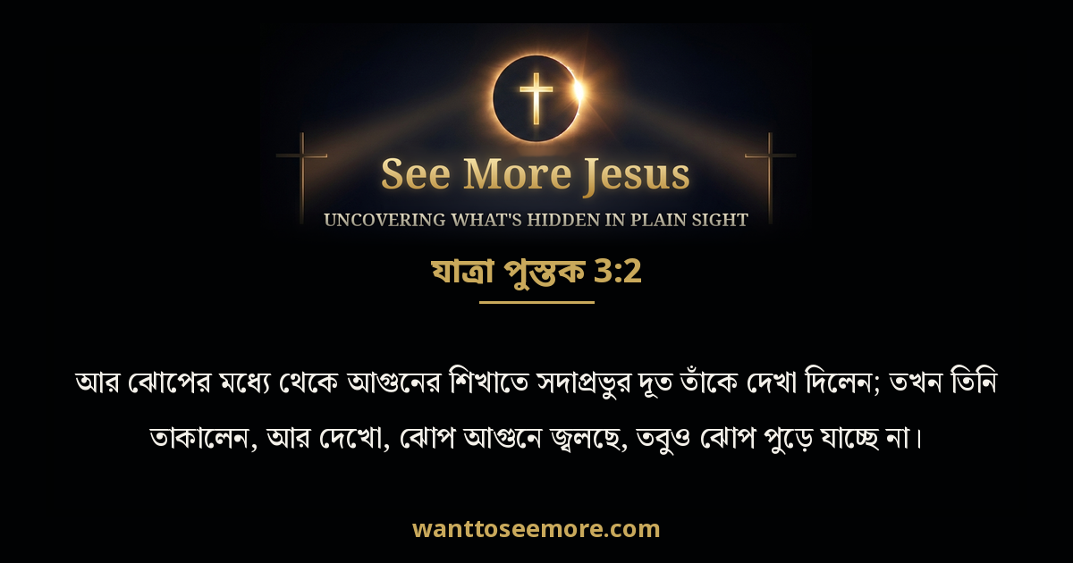 Exodus 3:2