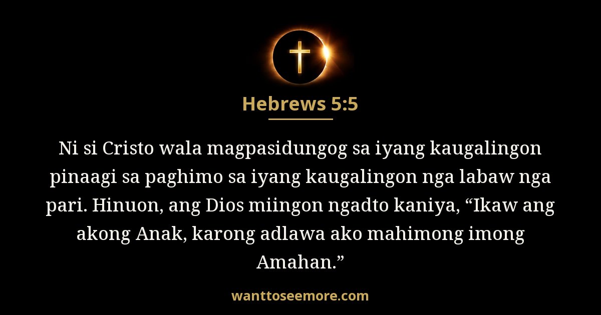 Hebrews 5:5