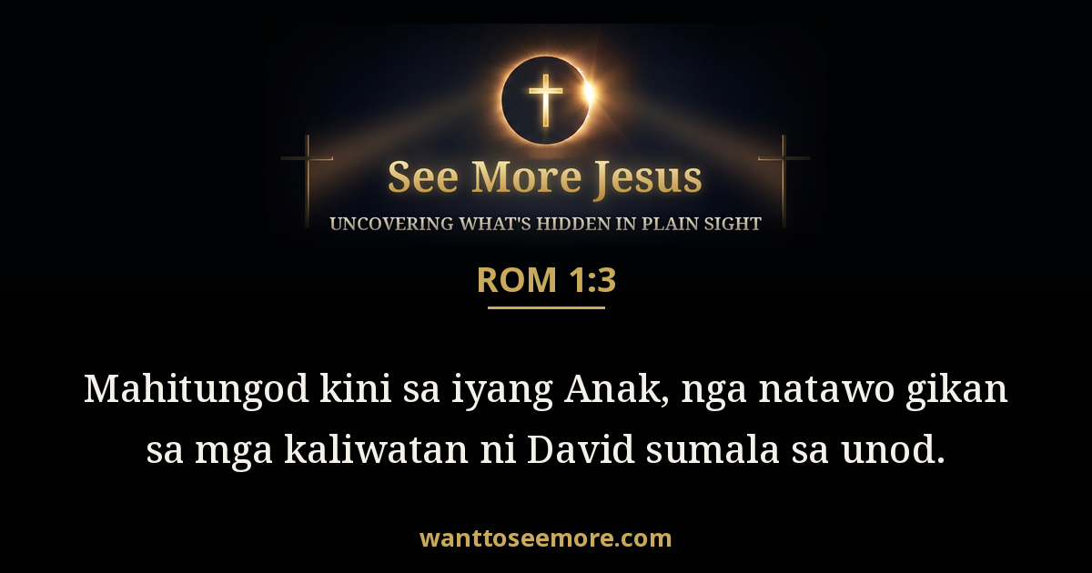 Romans 1:3