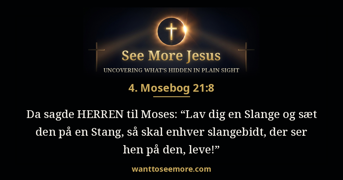 Numbers 21:8