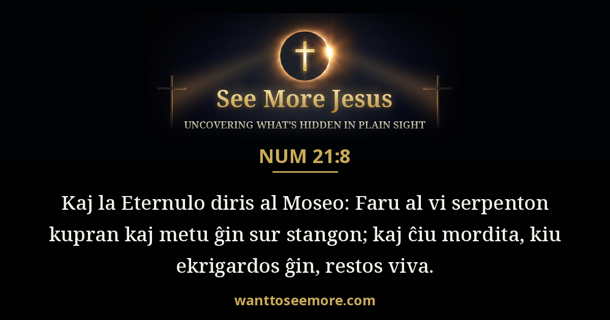 Numbers 21:8