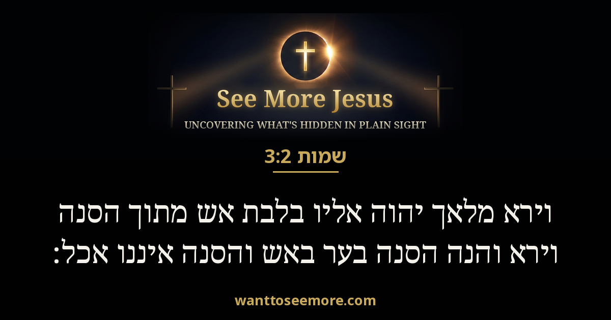 Exodus 3:2