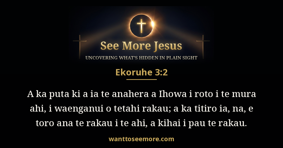 Exodus 3:2