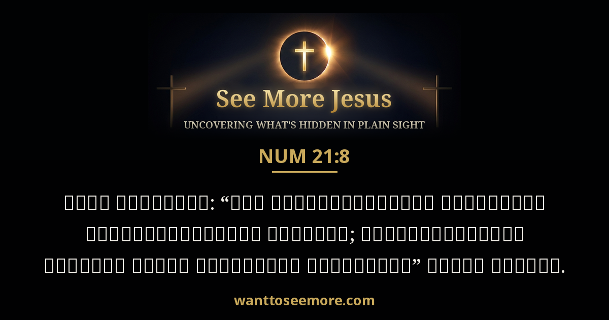 Numbers 21:8