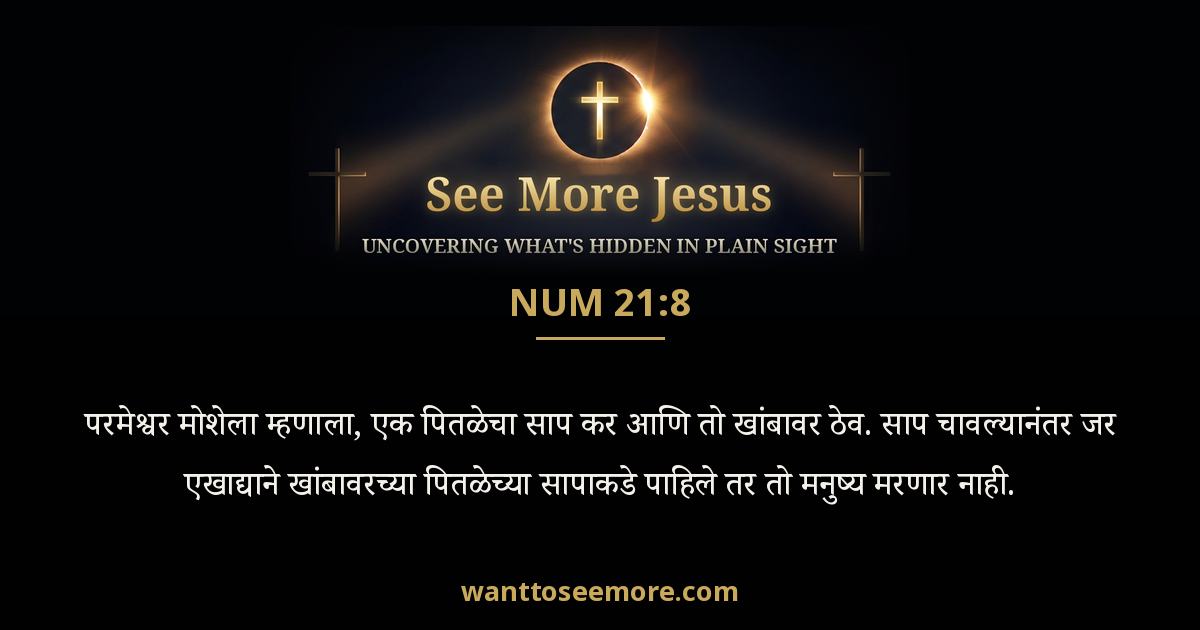 Numbers 21:8