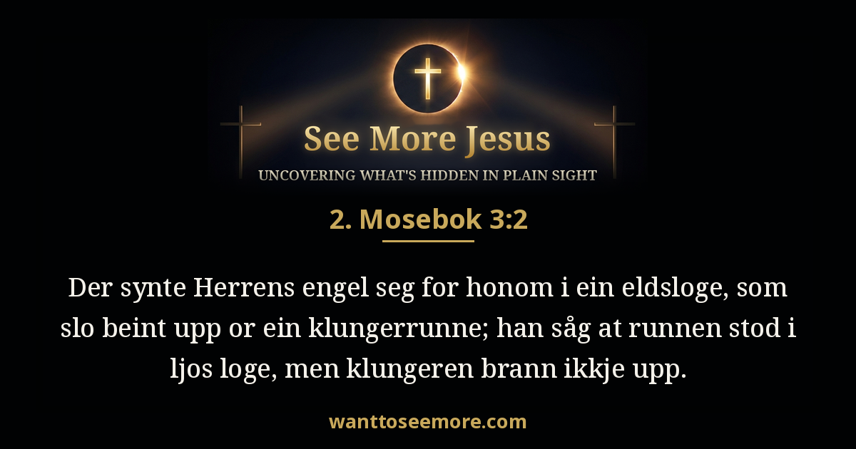 Exodus 3:2