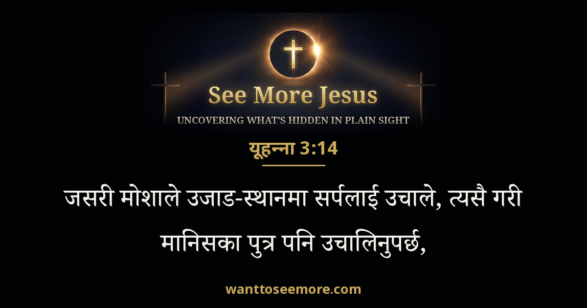 John 3:14