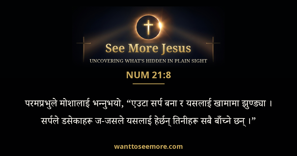Numbers 21:8