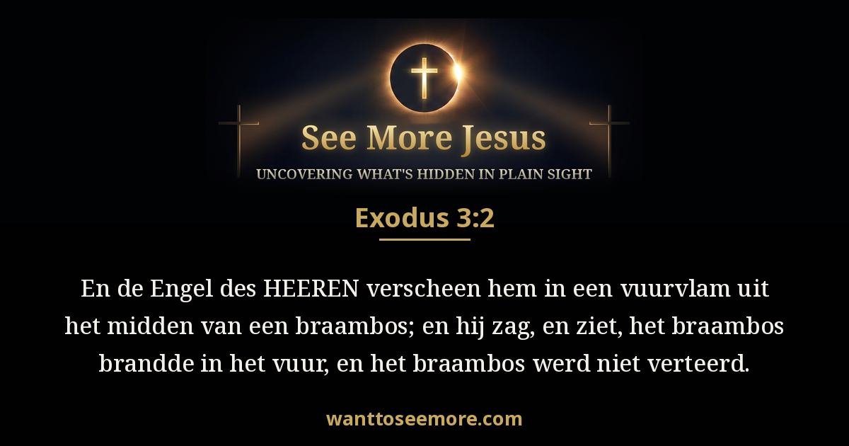 Exodus 3:2