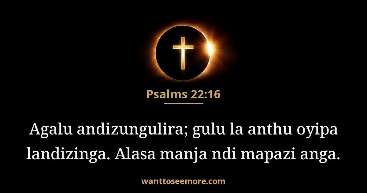 Psalms 22:16