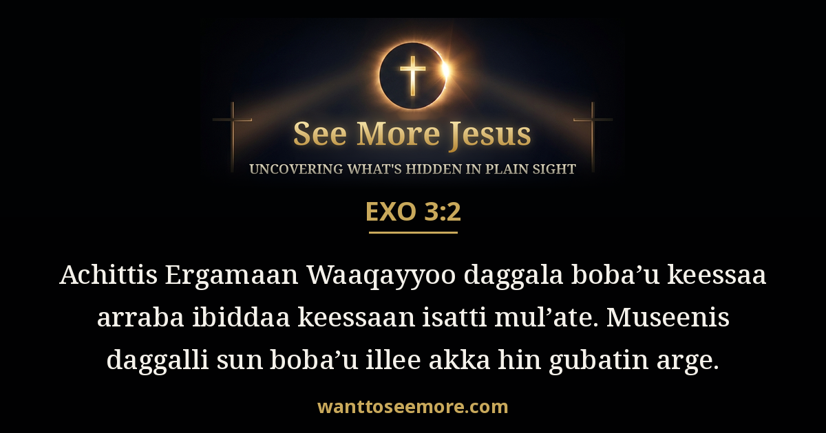 Exodus 3:2