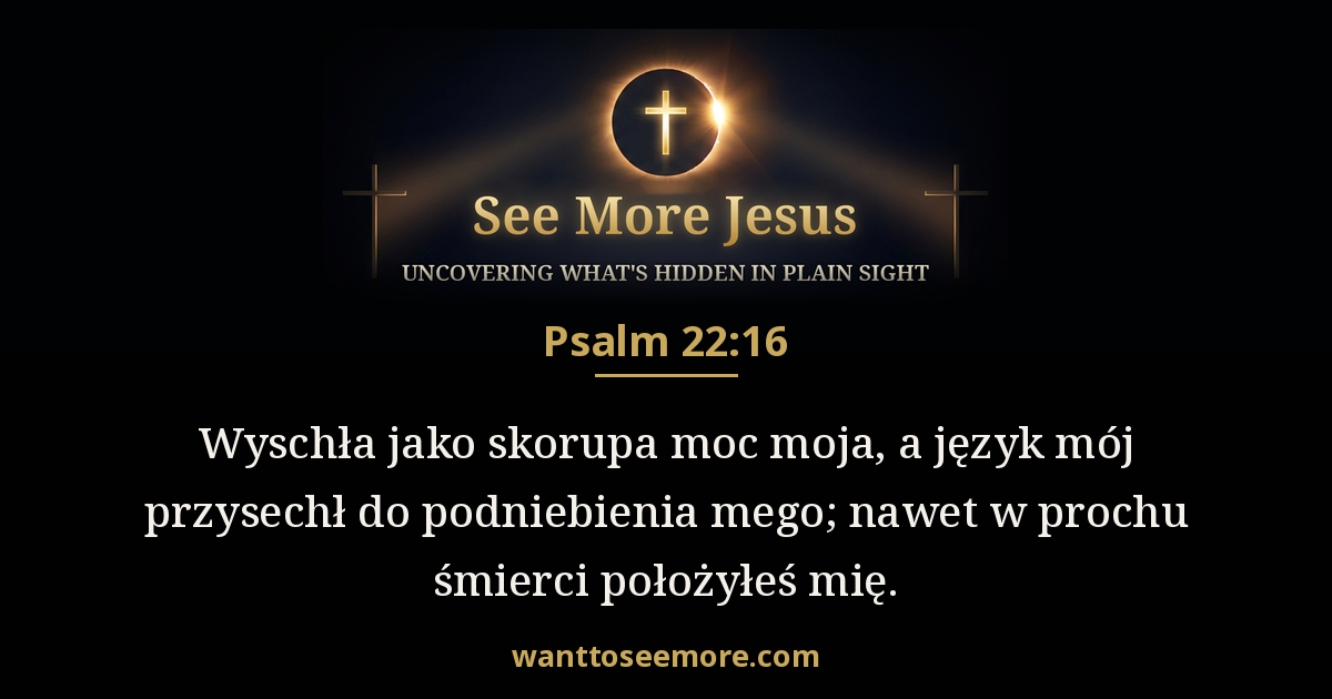 Psalms 22:16