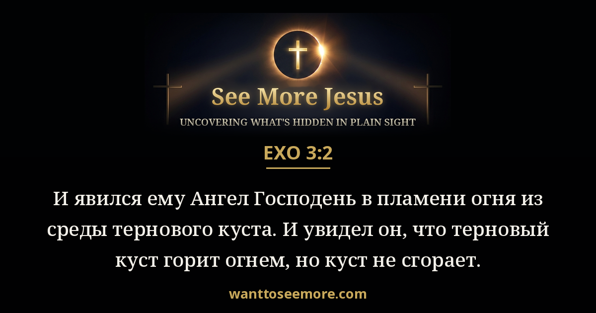 Exodus 3:2