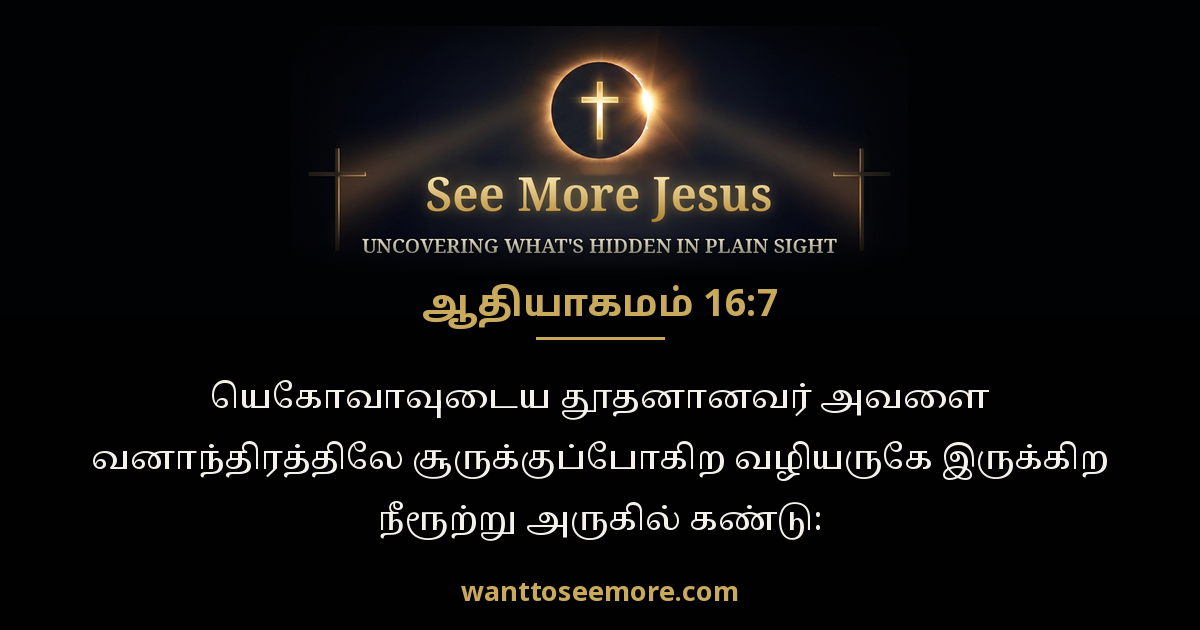 Genesis 16:7